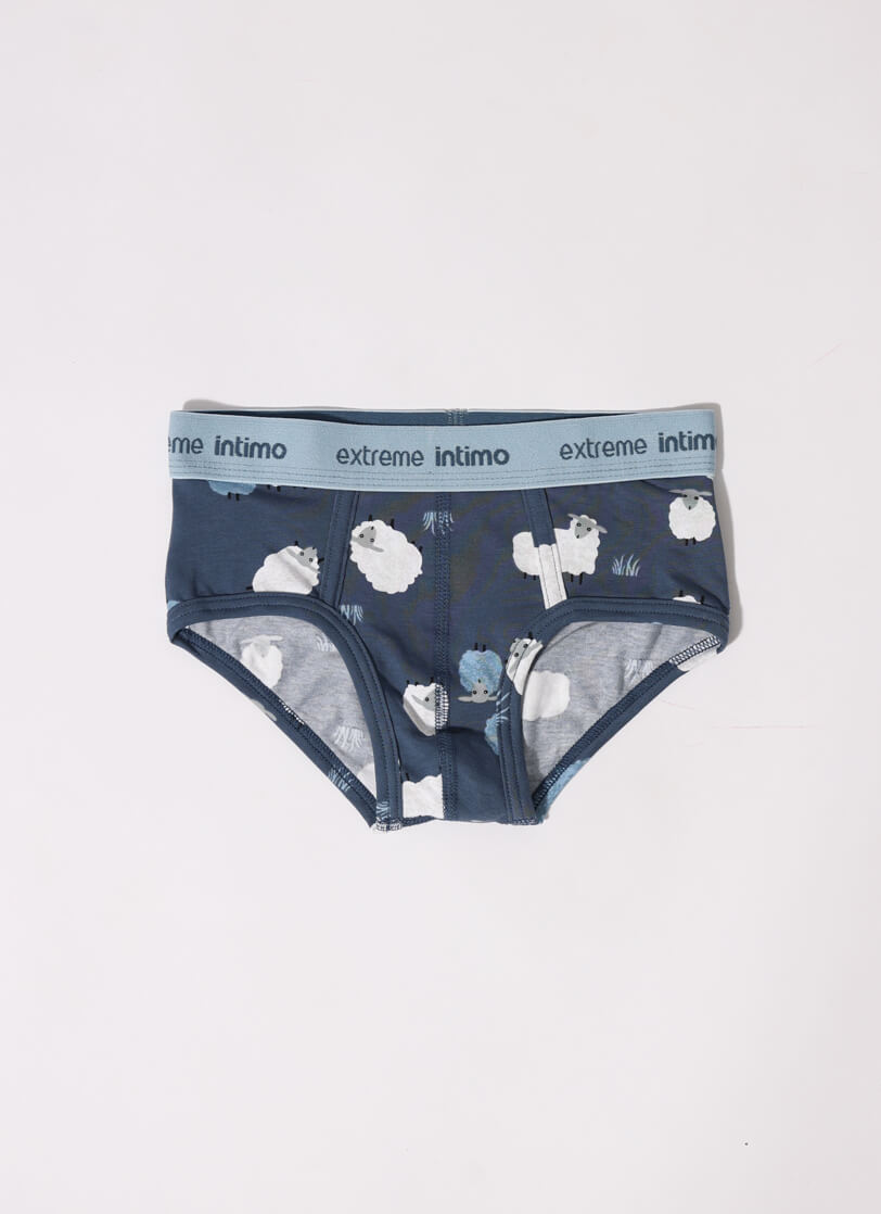 E25K-13S101 d.2855-1 , Dječje muške gaće main product photo